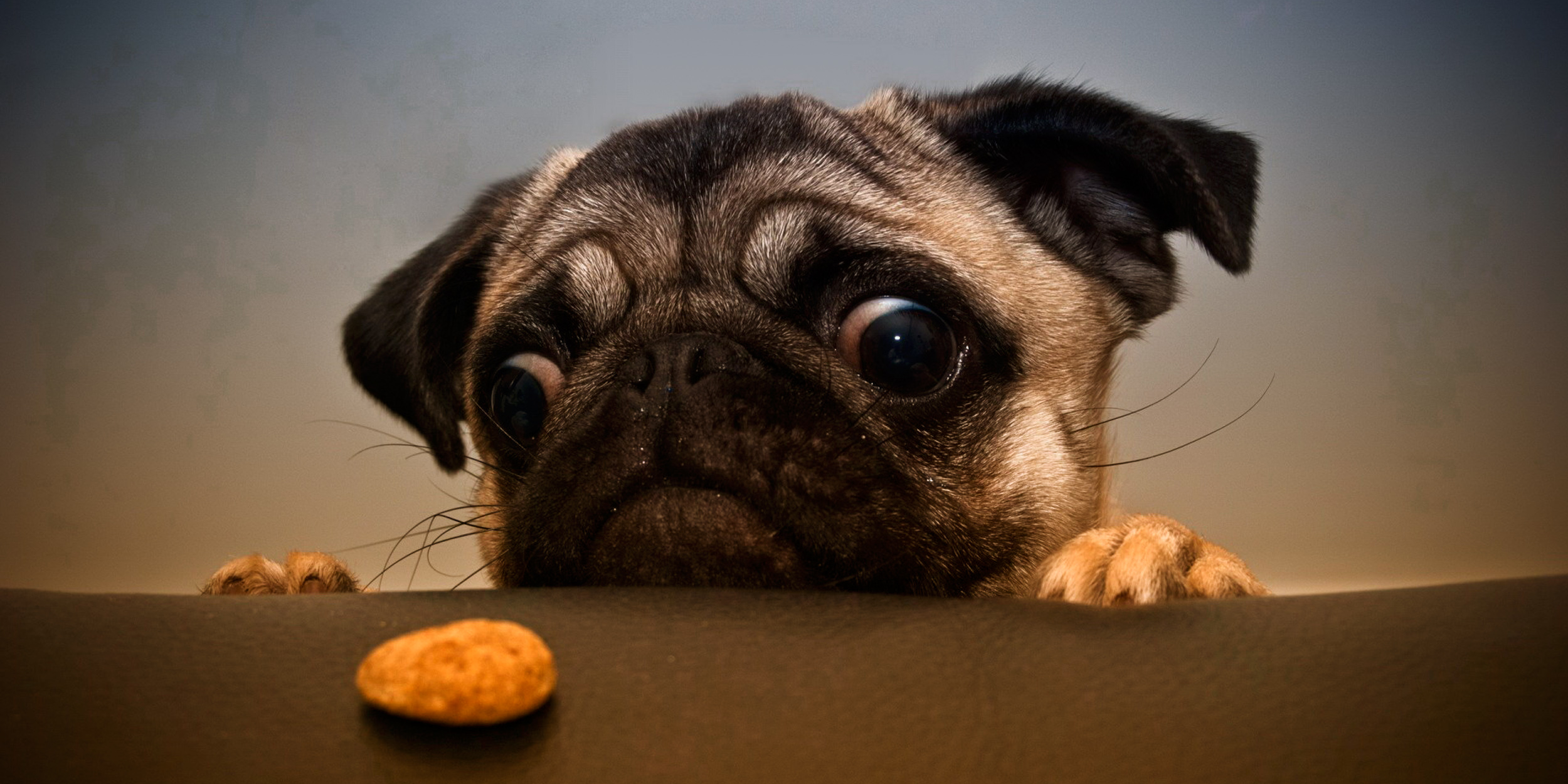 Превью истории