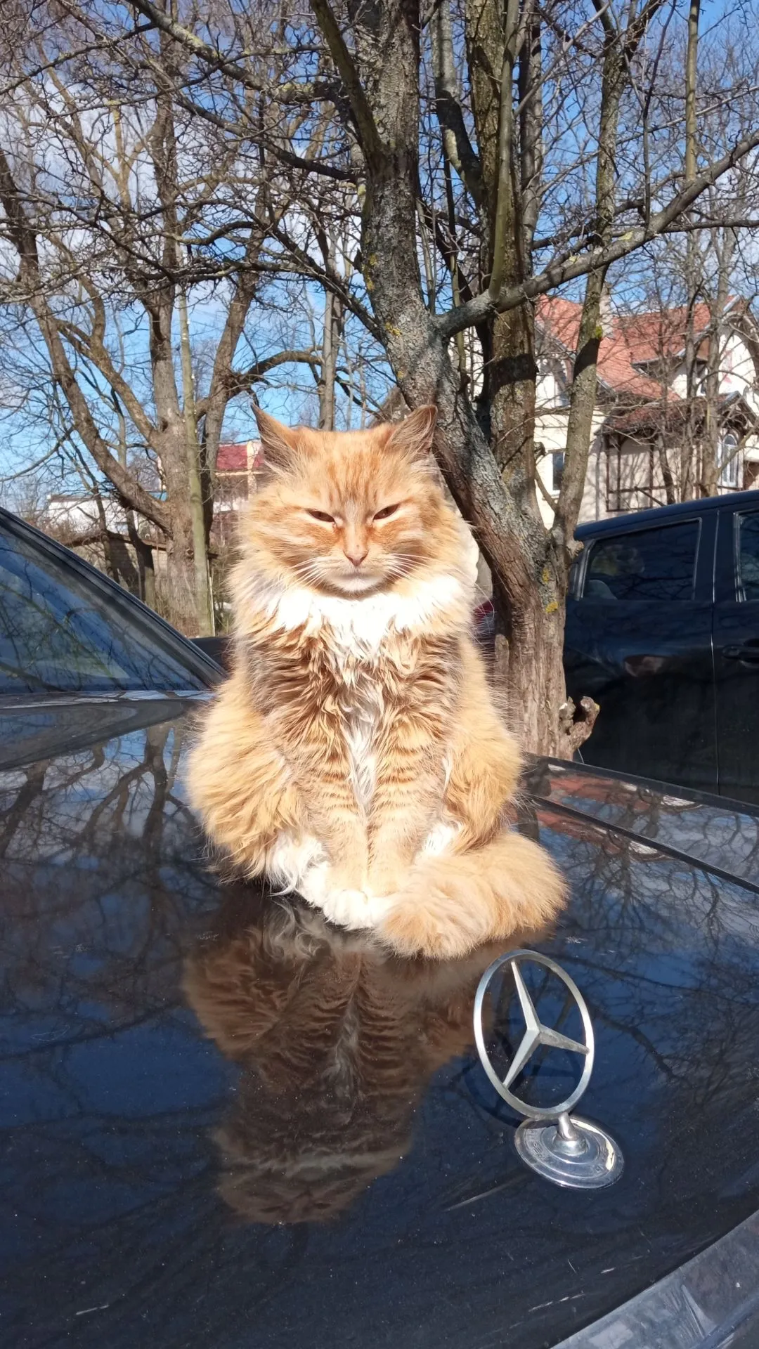 Превью истории