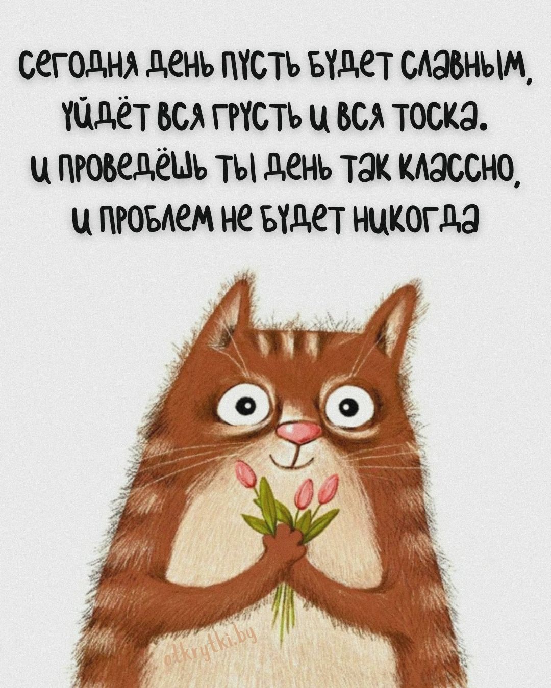 Превью истории