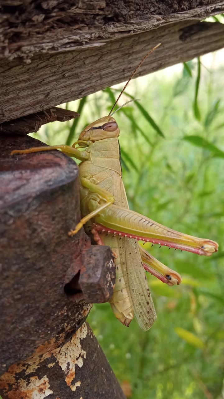 Превью истории