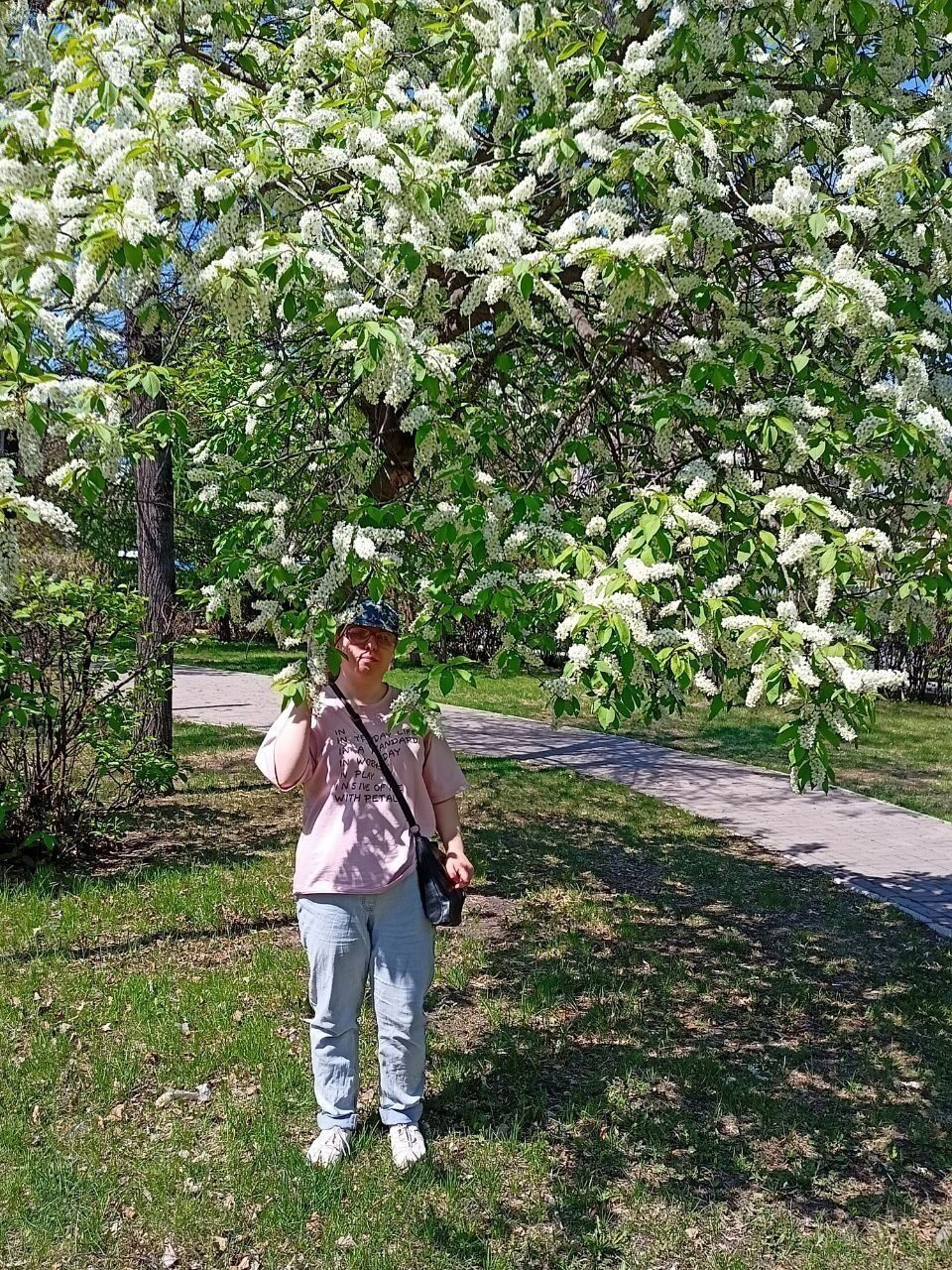 Превью истории