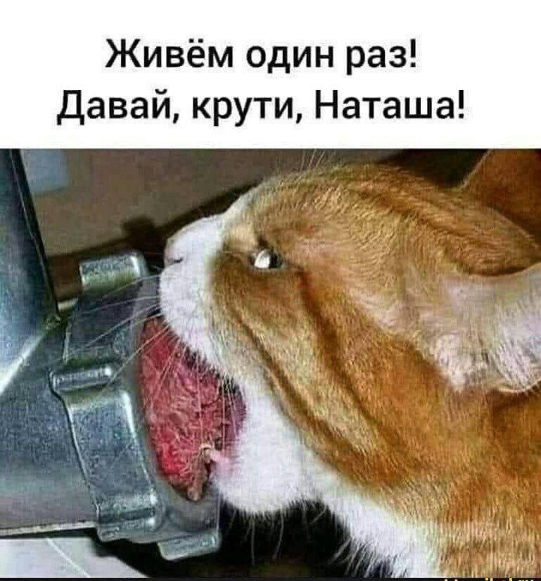 Превью истории