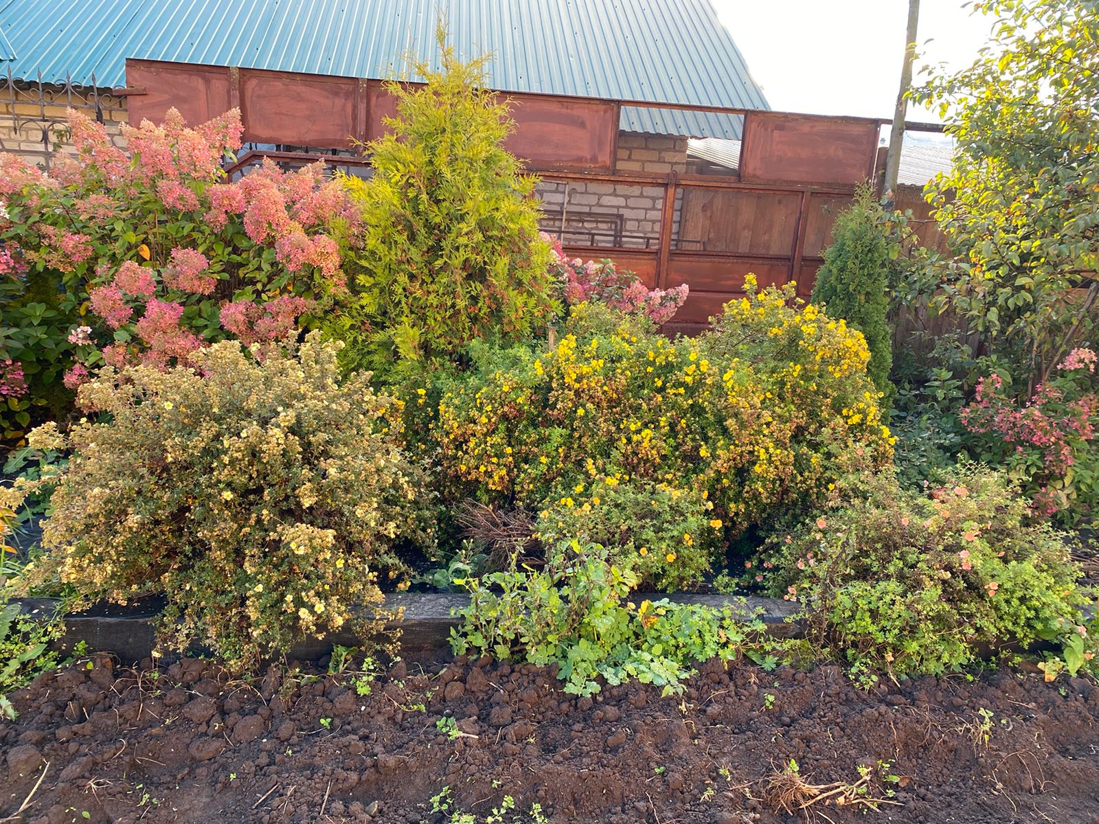 Превью истории