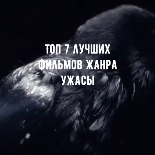 Превью истории